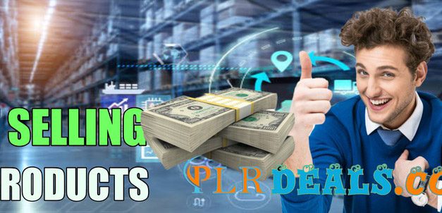 most popular PLR (Private Label Rights) digital products