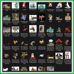 PLR GIF Images-2025