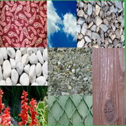 PLR Pattern Design